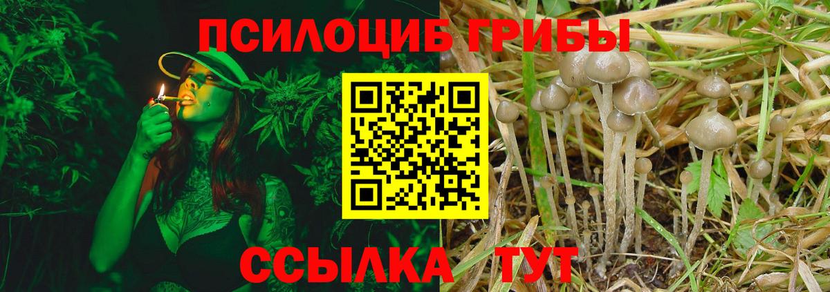 Электросталь  Галлюциногенные грибы ЛСД  Вход с VPN  Псилоцибиновые грибы прущие грибы 